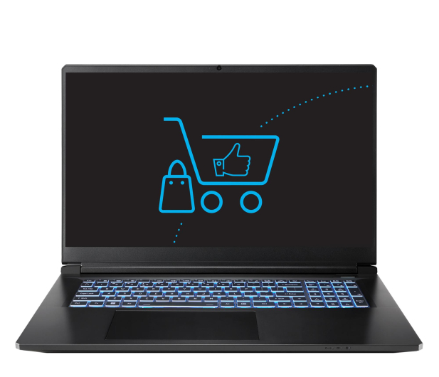 Dream Machines RG5050-17PL32 i5-13420H/16GB/512GB RTX5050 144Hz - 1609095 - zdjęcie